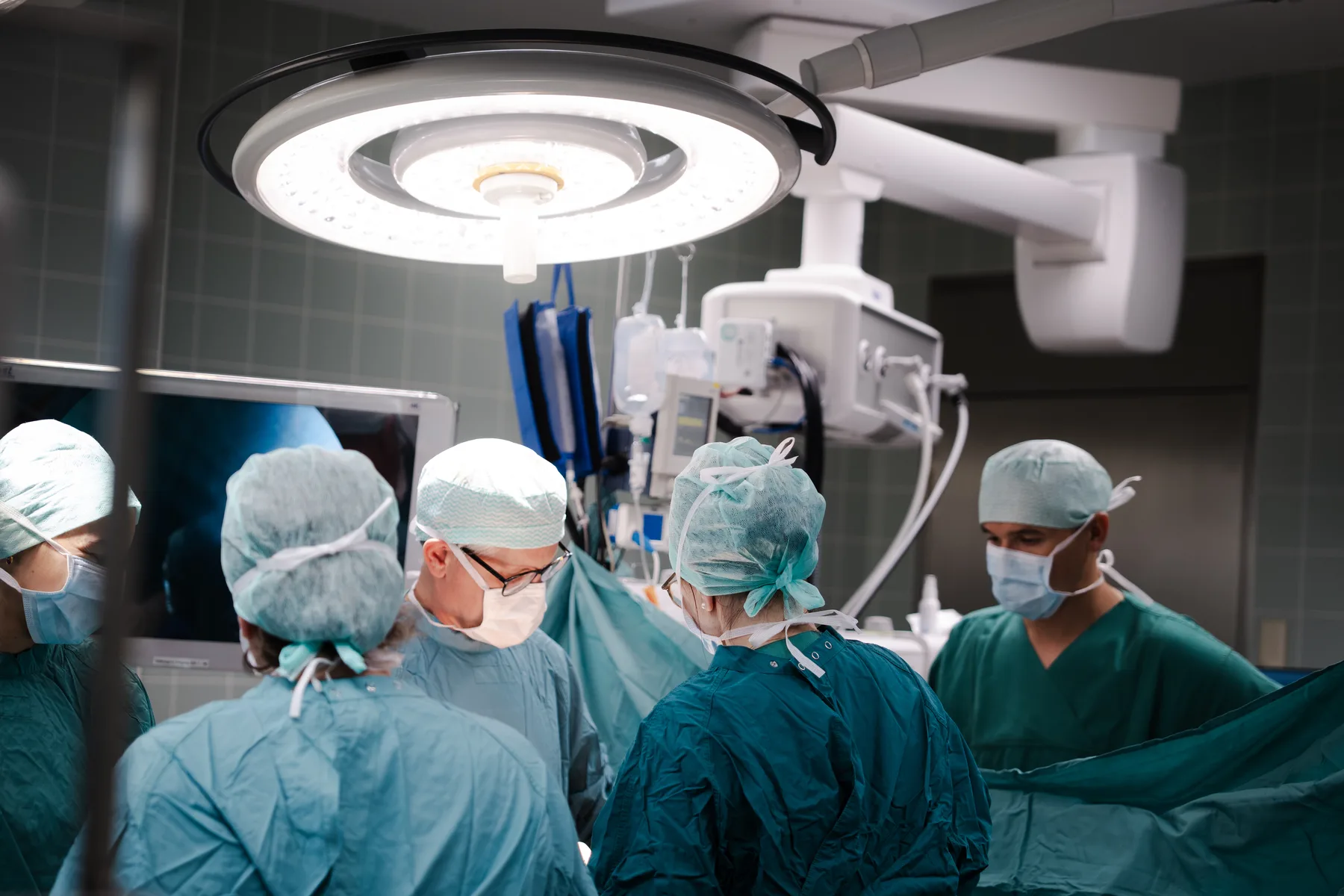Austrotransplant – Einblick 6