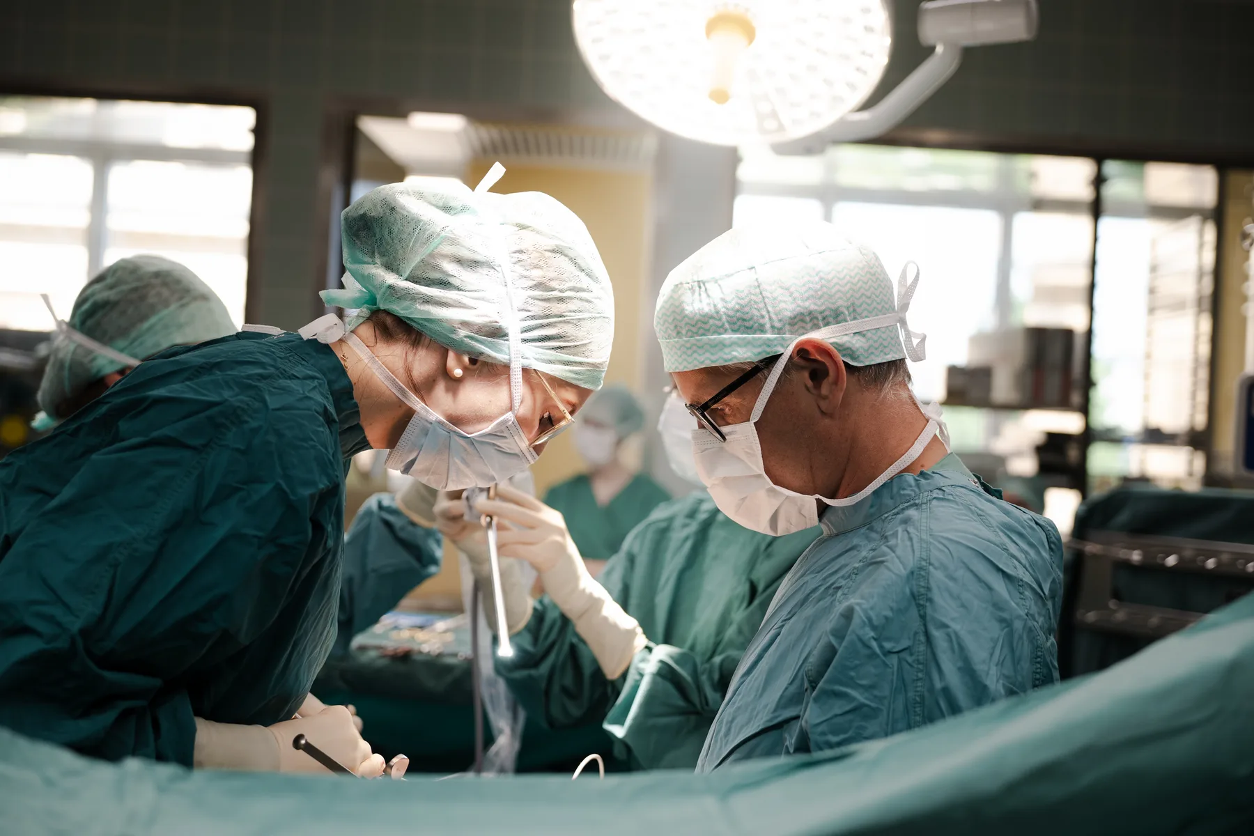 Austrotransplant – Einblick 7